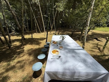 hotel selva cristal