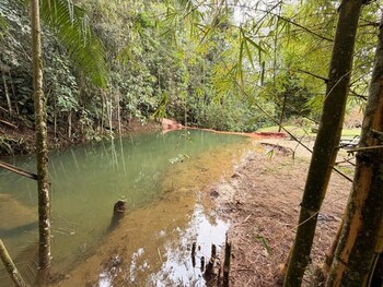 hotel selva cristal