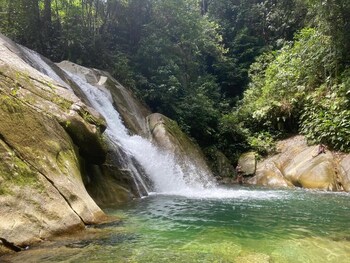 hotel selva cristal