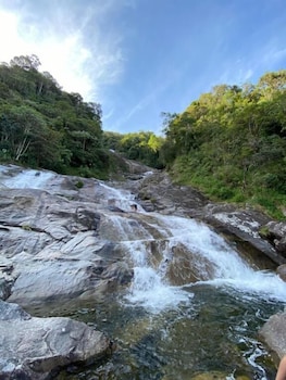 hotel selva cristal