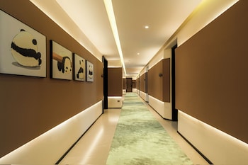 panda sleepy hotel chengdu panda base
