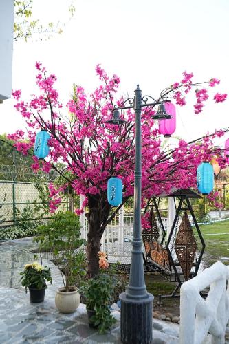 sundown resort