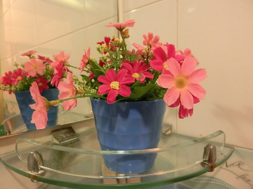 geo home holiday hotel