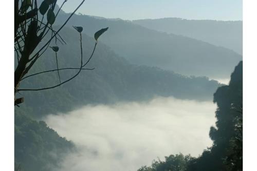 hidden valley homestay pangot