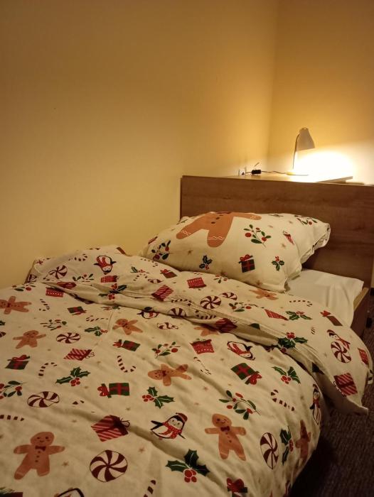 hotel sowa