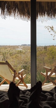 hotel cabanas uno