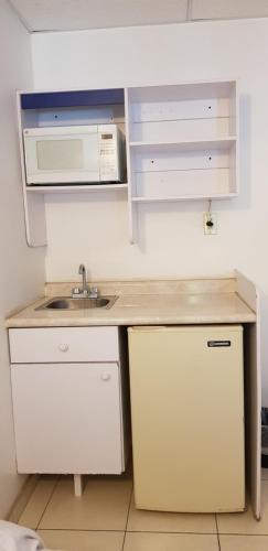 hotel vagabundo expo guadalajara