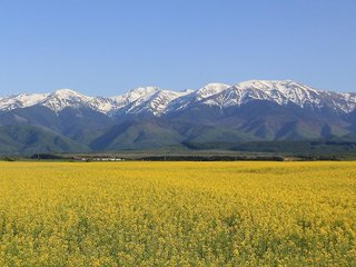 Best Western Silva Hotel,Museum Of Hunting Arms & Trophies>>Sibiu,3 star