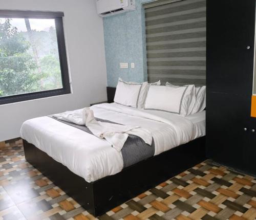 lazo eco spot vythiri