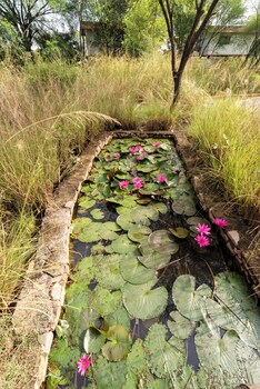 bagh serai by alaya stays