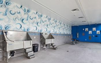 virelli apartments upscale king suite in the heart of orlando w pool