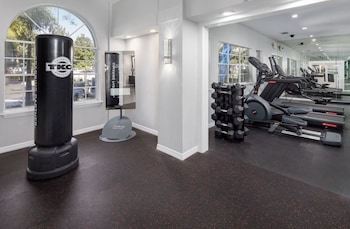 solara apartments spacious 2br apartment sleeps 6 pet friendly
