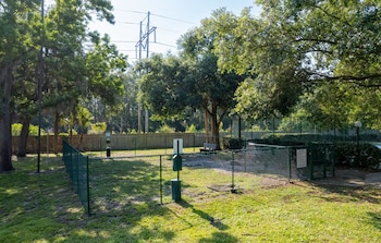 solara apartments spacious 2br apartment sleeps 6 pet friendly