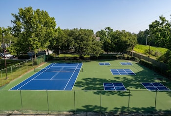 solara apartments spacious 2br apartment sleeps 6 pet friendly