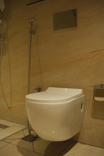 aanya taara resort