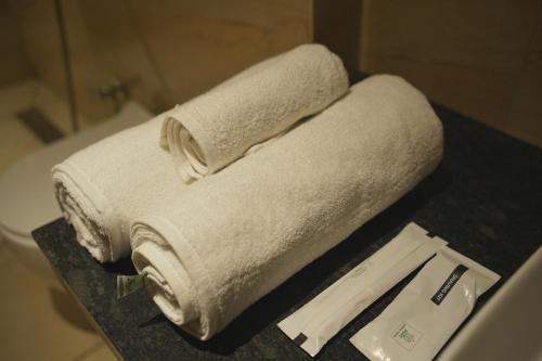 aanya taara resort