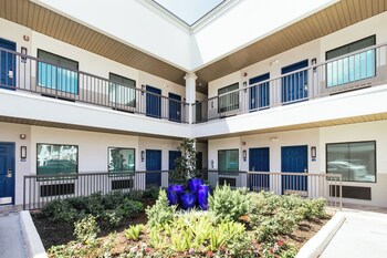 palace inn blue laura koppe rd