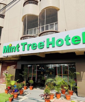 the mint tree hotels and resorts