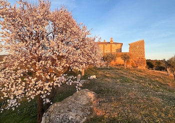castillo de corvinos