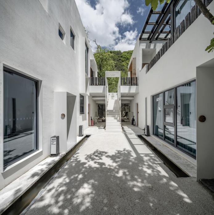 between trees and streams