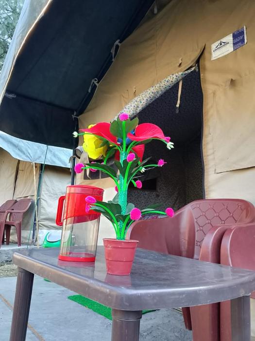 river view cafe and camping