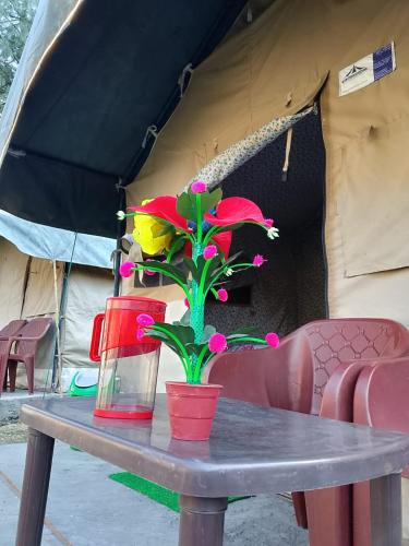 river view cafe and camping