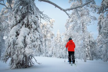 suomu aurora glass resort