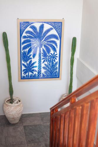 casa kai