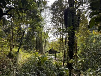 jiwa eco escape