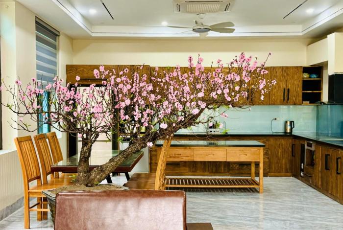 ans home ninh binh