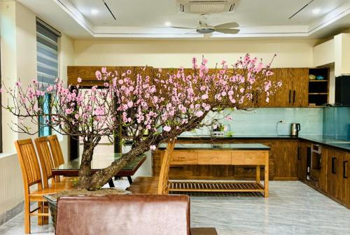 ans home ninh binh