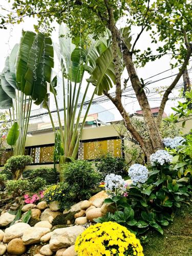 ans home ninh binh