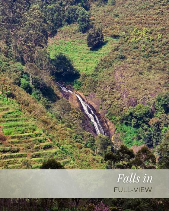 lush green kodai by arcadia