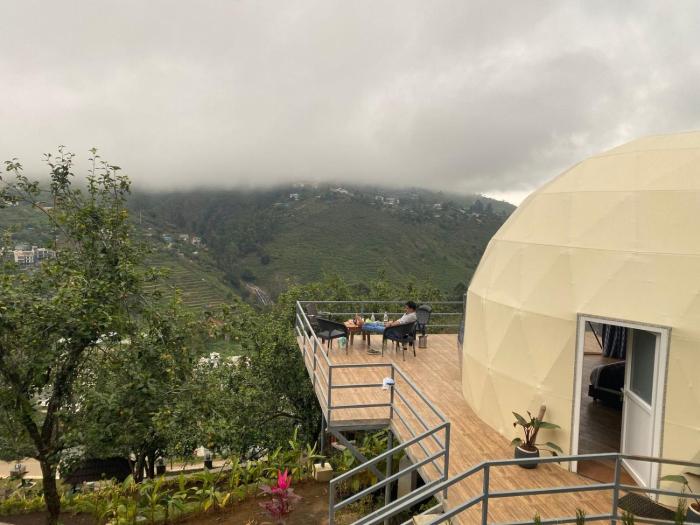 lush green kodai by arcadia
