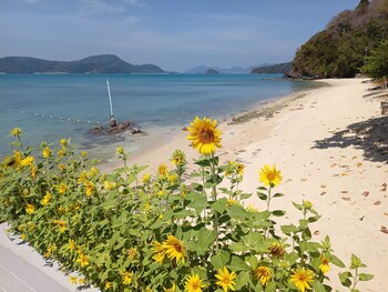 panwa sunset beachfront