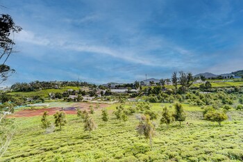 alaya stays cleft 3bhk with garden