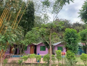 hills queen resort and camping
