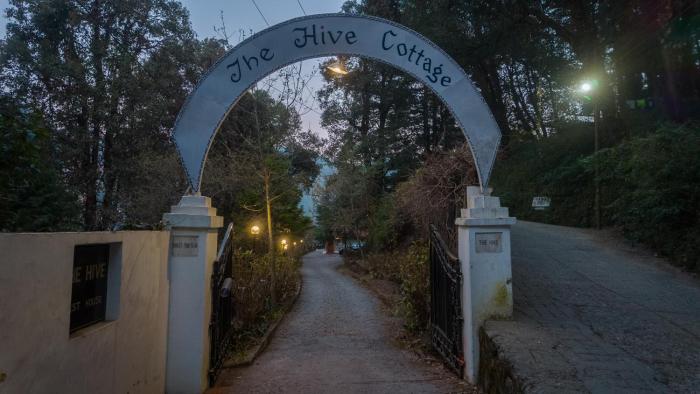 alaya stays the hive cottage