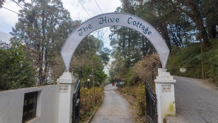 alaya stays the hive cottage
