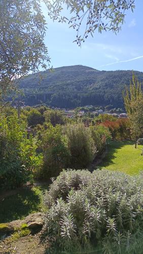 capim limao country house