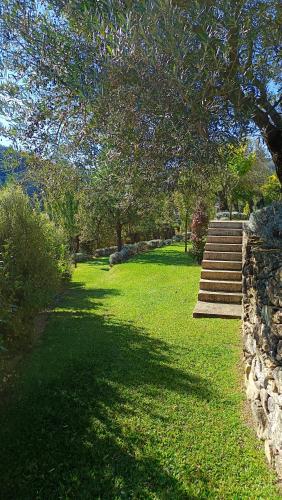 capim limao country house