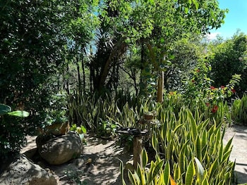 casa del arbol barichara