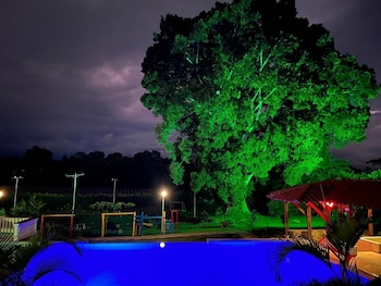jardines del cafe entre nubes