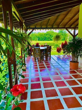 jardines del cafe entre nubes