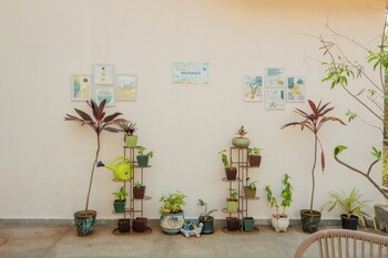 alaya stays cavalo marinho 3 bhk