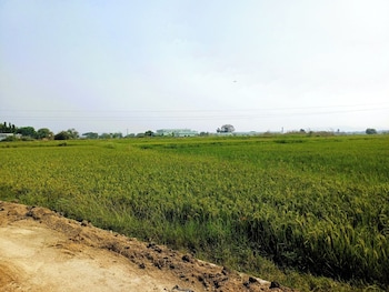 mmg resorts