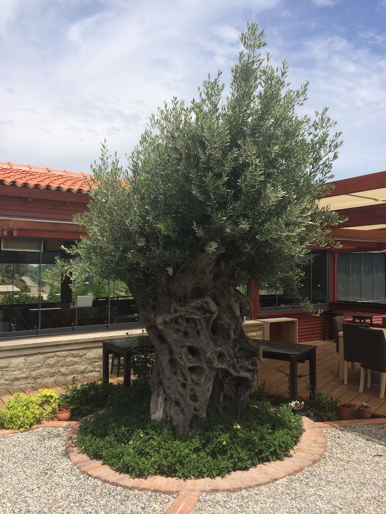 urla bagevi boutique hotel special class