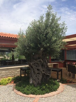 urla bagevi boutique hotel special class