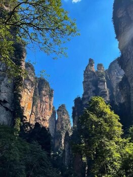 han exotic inn