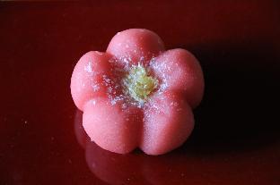 haruya higashiyama hostel